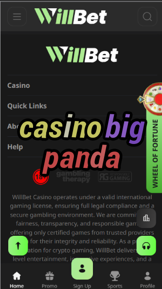 Casino Big Panda - Asian-Themed Slot Games-bethlehamcasino.casinoorder.vip